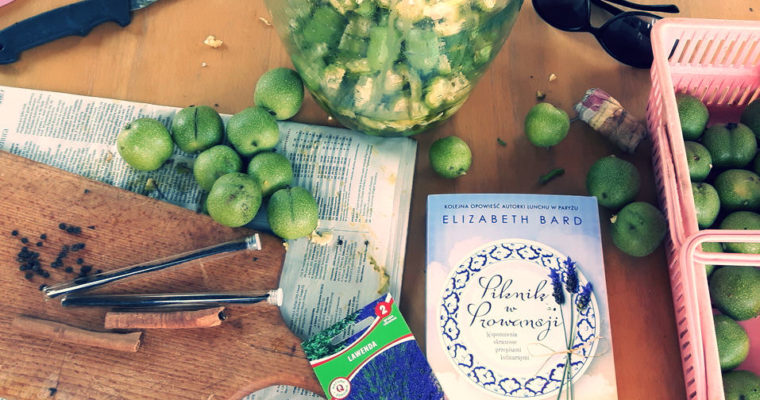 “Piknik w&nbsp;Prowansji”-recenzja