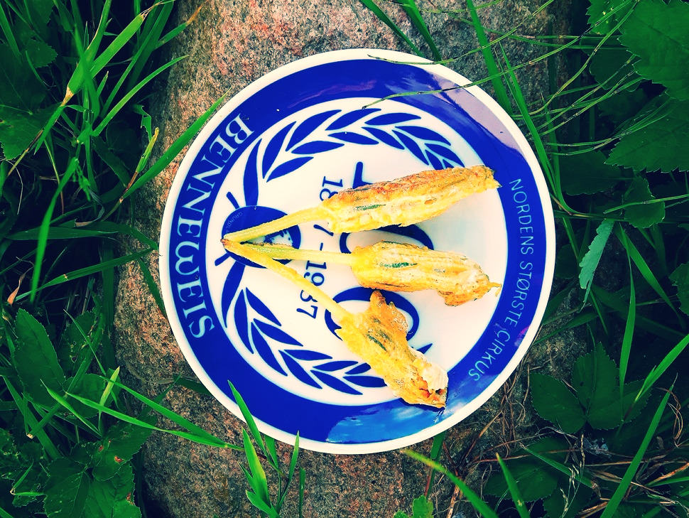 cukinia slimak