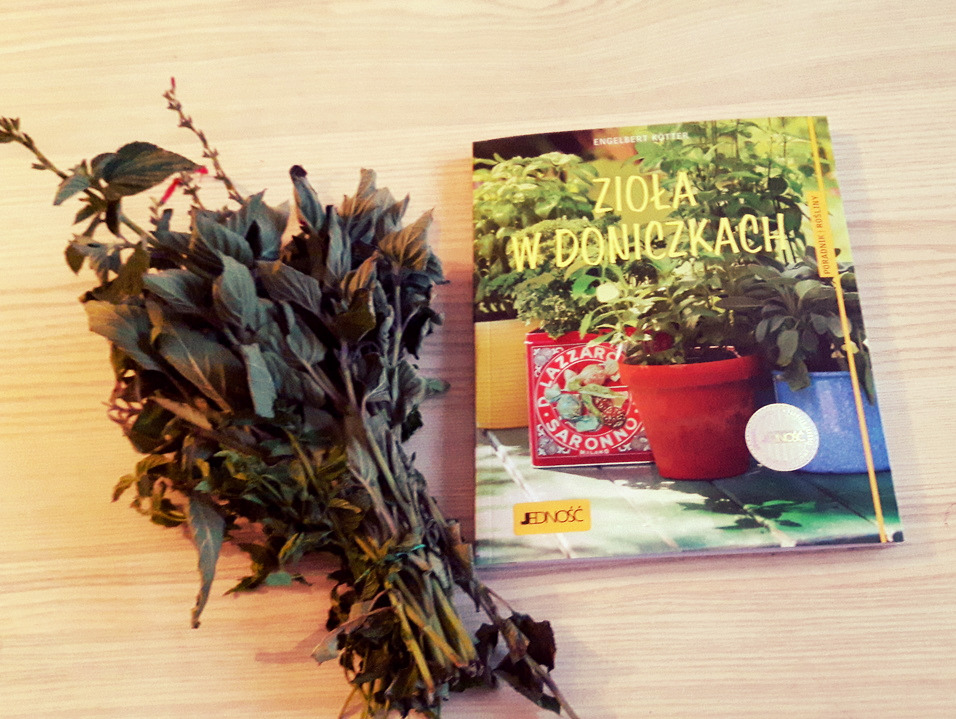 zioła w doniczkach