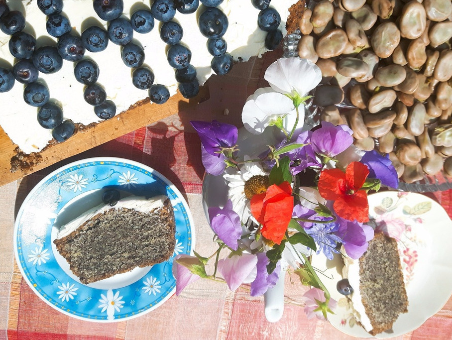 Przepis na ciasto z makiem, mascarpone i borówkami