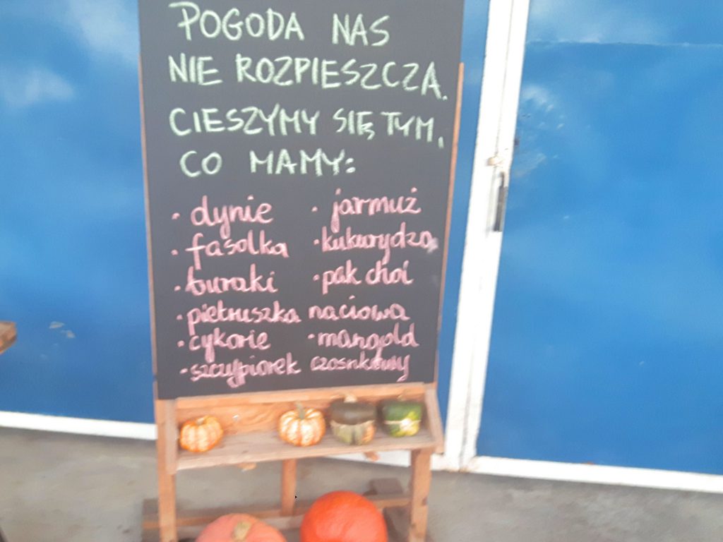 jesień