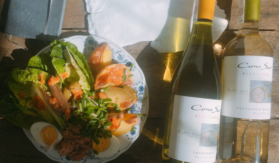 Food & wine pairing Cono Sur