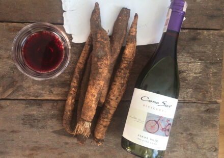 Food & wine pairing Cono Sur