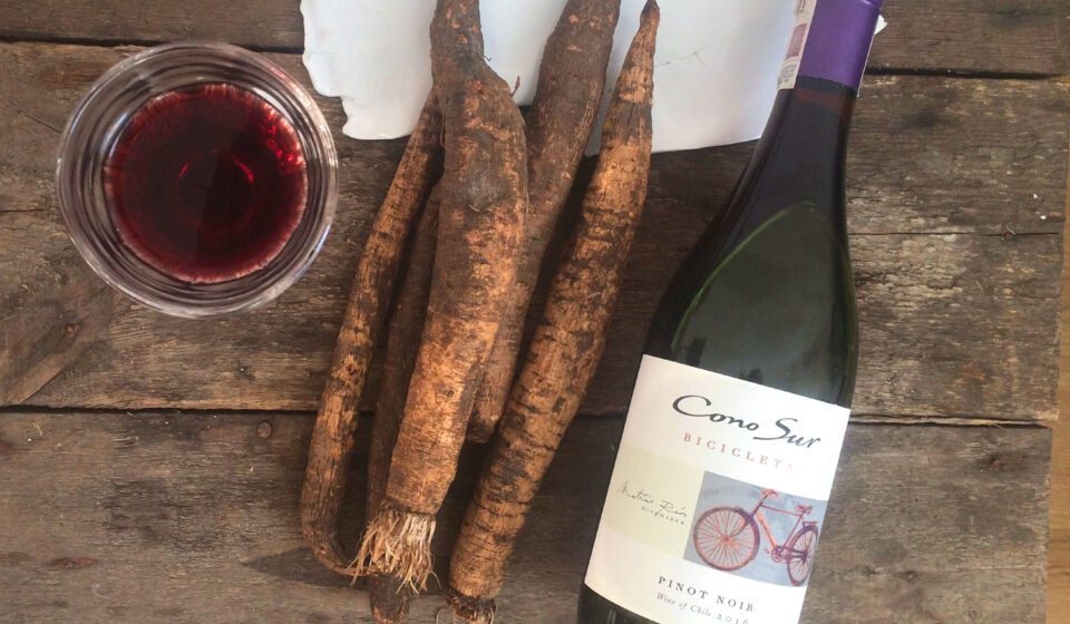 Food & wine pairing Cono Sur