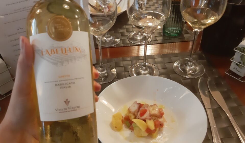 wine expo poland