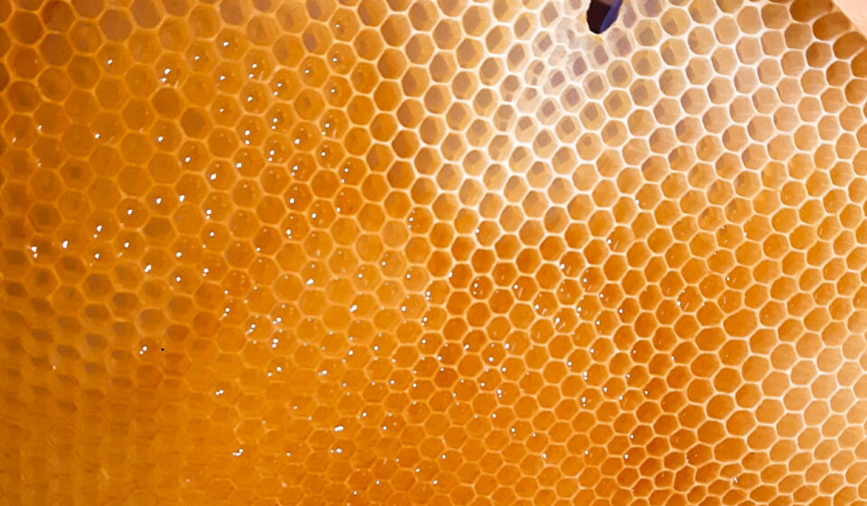 miód