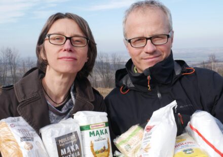 FoodRentgen mąka