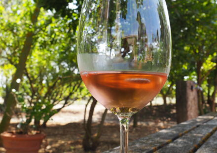wino różowe