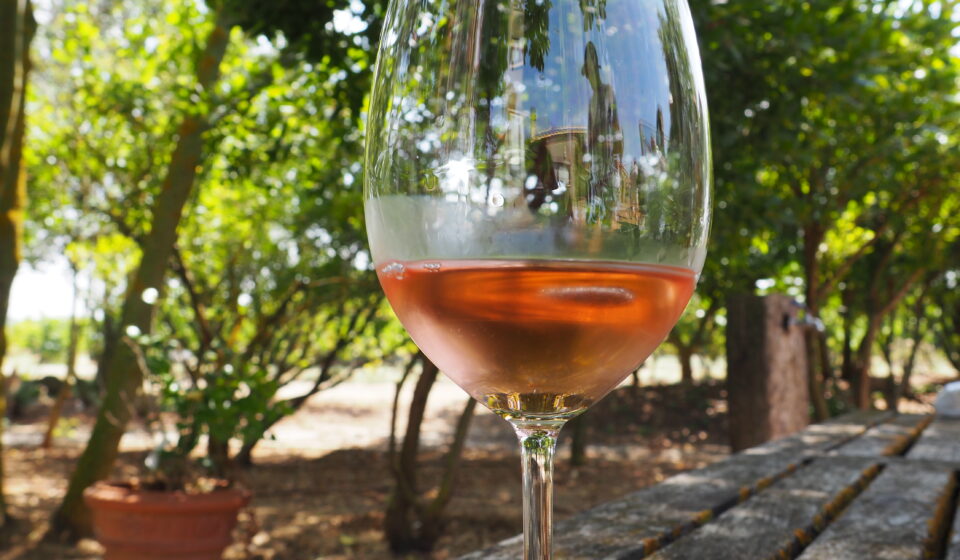 wino różowe