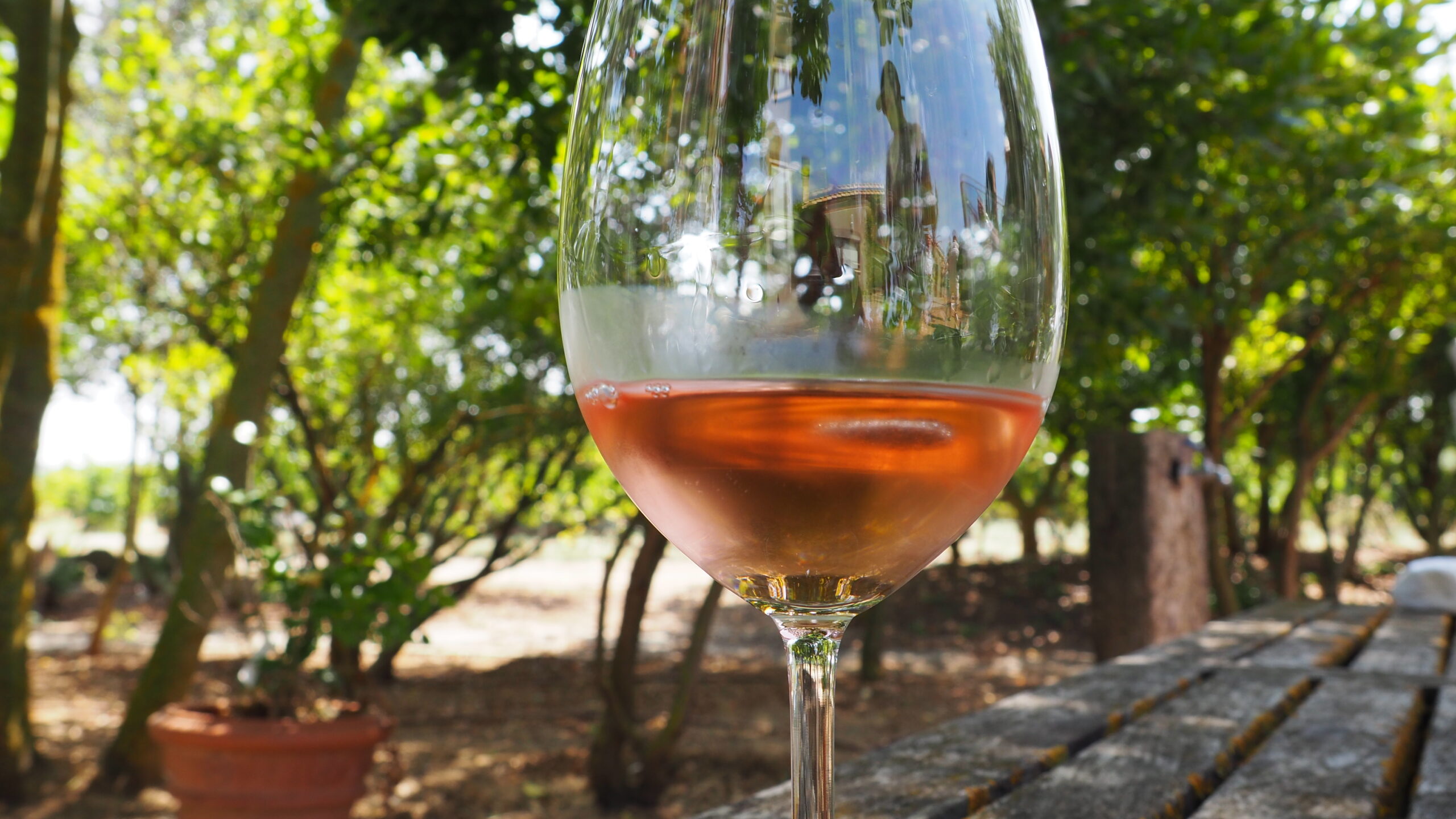 Z czym pić wina różowe i jak je podawać?